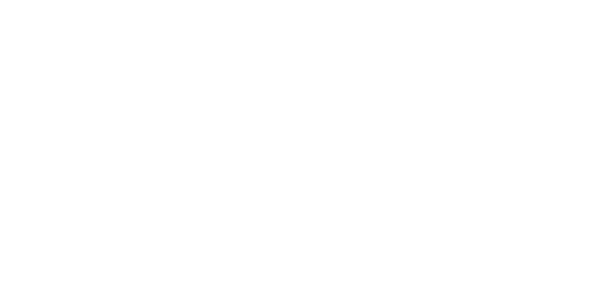 다이아몬드 넷